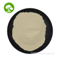 /msite/products/detail/productid/60942389/id/1337892.html